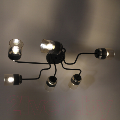 Люстра Элетех Техно 162 НСБ 01-6х60-114 Е27 / 1005404588 (черный)