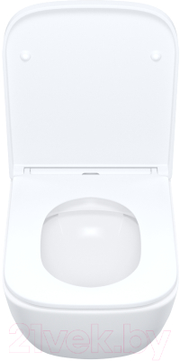 Унитаз подвесной IDDIS Torr TORRDSEi25