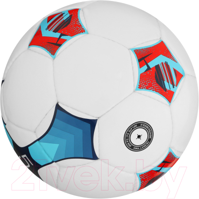 Футбольный мяч Minsa Training 9376736