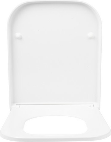 Сиденье для унитаза IDDIS Soft Close TORDPSEi31 