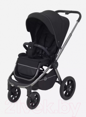 Детская универсальная коляска Rant Flex Pro 3 в 1 2023 / RA075