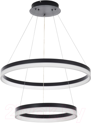 Потолочный светильник LED4U L10823-60-40 BK - фото