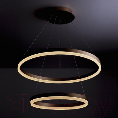 Потолочный светильник LED4U L10823-60-40 GD