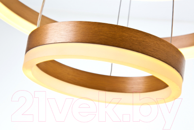 Потолочный светильник LED4U L10823-60-40 GD