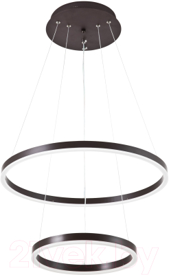 Потолочный светильник LED4U L55000-2HL BR - фото