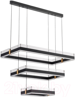 Потолочный светильник LED4U L7800-700 BK - фото