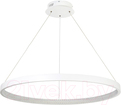 Потолочный светильник LED4U L8443-800 WH - фото