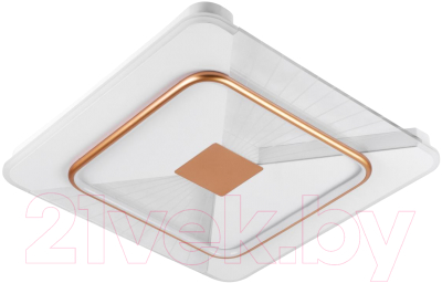 Потолочный светильник LED4U L1024-500 WH-GD - фото