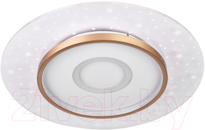 Потолочный светильник LED4U L1027-500 WH-GD - фото