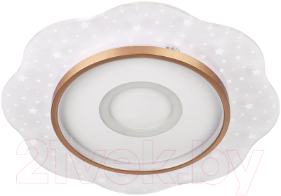 Потолочный светильник LED4U L1028-500 WH-GD - фото