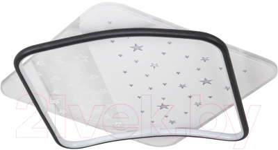 Потолочный светильник LED4U L1037-520 BK - фото