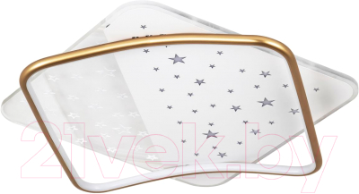 Потолочный светильник LED4U L1037-520 GD - фото