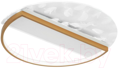 Потолочный светильник LED4U L1043-500 GD - фото