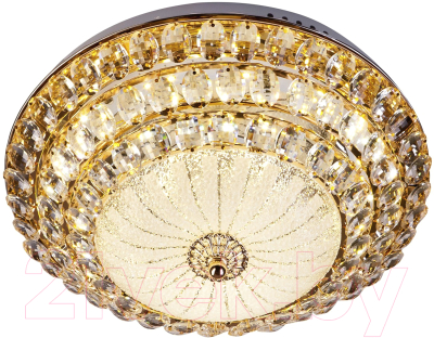 Потолочный светильник LED4U L1101-350 GD - фото