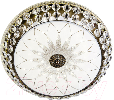 Потолочный светильник LED4U L1111-500 AB - фото