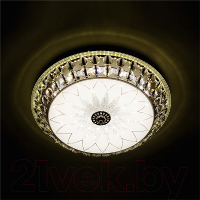 Потолочный светильник LED4U L1111-500 AB