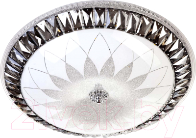 Потолочный светильник LED4U L1159-500 CR - фото