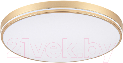 Потолочный светильник LED4U L3034-380 GD - фото