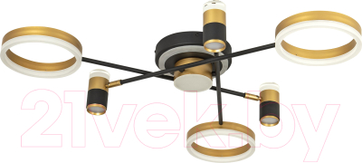 Потолочный светильник LED4U L3121-6 - фото