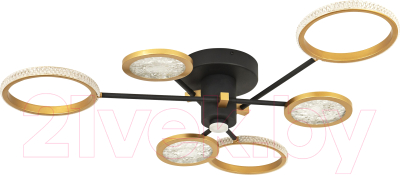 Потолочный светильник LED4U L3123-6 - фото