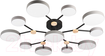 Потолочный светильник LED4U L3201-960 GR - фото