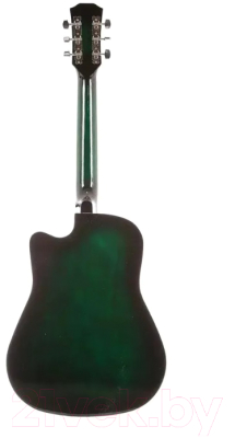 Акустическая гитара Belucci BC3810 GR