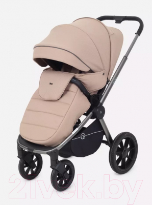 Детская универсальная коляска Rant Flex Pro 2 в 1 2023 / RA074