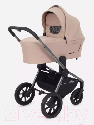 Детская универсальная коляска Rant Flex Pro 2 в 1 2023 / RA074