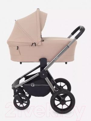 Детская универсальная коляска Rant Flex Pro 2 в 1 2023 / RA074