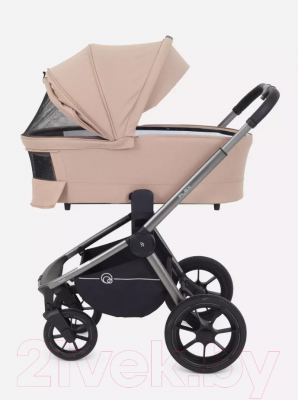 Детская универсальная коляска Rant Flex Pro 2 в 1 2023 / RA074
