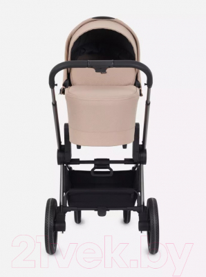 Детская универсальная коляска Rant Flex Pro 2 в 1 2023 / RA074