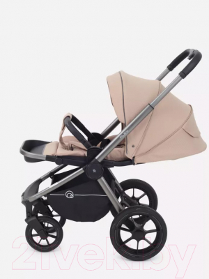 Детская универсальная коляска Rant Flex Pro 2 в 1 2023 / RA074