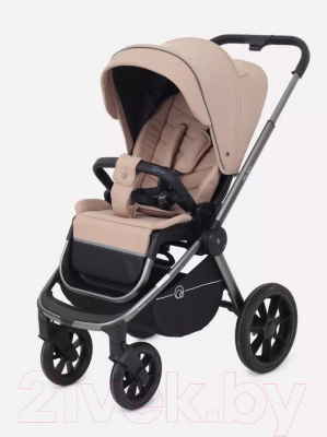 Детская универсальная коляска Rant Flex Pro 2 в 1 2023 / RA074