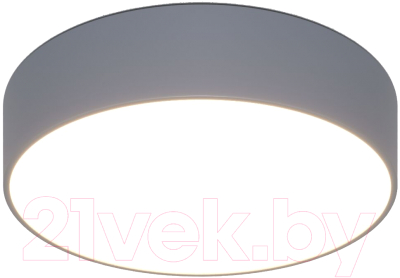 Потолочный светильник Евросвет 90318/1 - фото