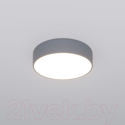 Потолочный светильник Евросвет 90318/1