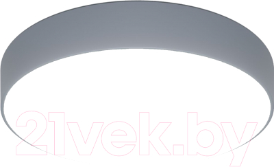 Потолочный светильник Евросвет 90319/1 (серый) - фото
