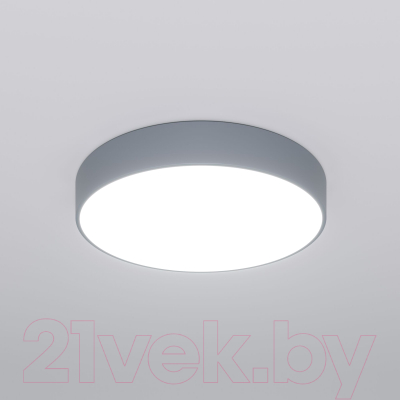 Потолочный светильник Евросвет 90319/1 (серый)