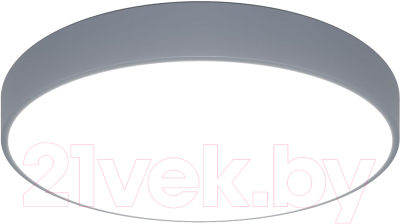 Потолочный светильник Евросвет 90320/1 (серый) - фото
