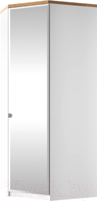 Шкаф Anrex Taurus 1DGPZ угловой (белый/дуб вотан)