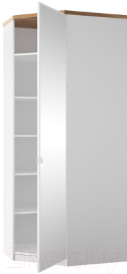 Шкаф Anrex Taurus 1DGPZ угловой (белый/дуб вотан)