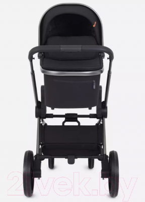 Детская универсальная коляска Rant Falcon 2 в 1 / RA097
