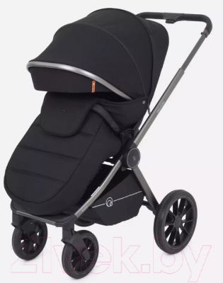 Детская универсальная коляска Rant Falcon 2 в 1 / RA097