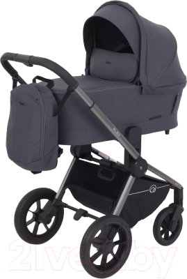 Детская универсальная коляска Rant Flex Pro 2 в 1 2023 / RA074 - фото