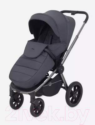 Детская универсальная коляска Rant Flex Pro 2 в 1 2023 / RA074