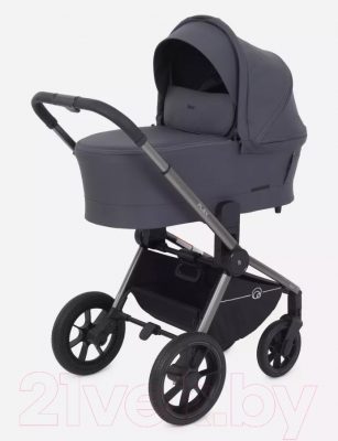 Детская универсальная коляска Rant Flex Pro 2 в 1 2023 / RA074