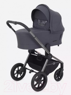 Детская универсальная коляска Rant Flex Pro 2 в 1 2023 / RA074