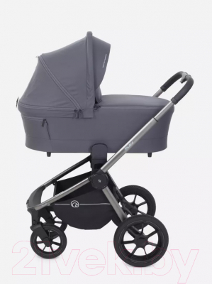 Детская универсальная коляска Rant Flex Pro 2 в 1 2023 / RA074