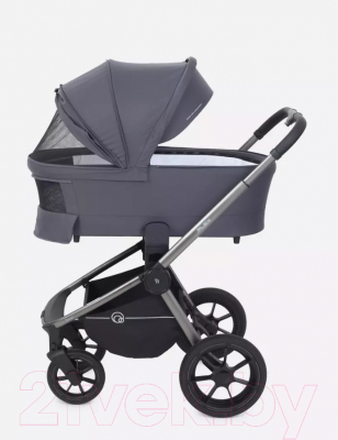 Детская универсальная коляска Rant Flex Pro 2 в 1 2023 / RA074