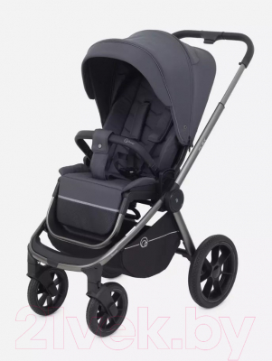 Детская универсальная коляска Rant Flex Pro 2 в 1 2023 / RA074