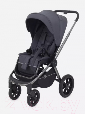 Детская универсальная коляска Rant Flex Pro 2 в 1 2023 / RA074